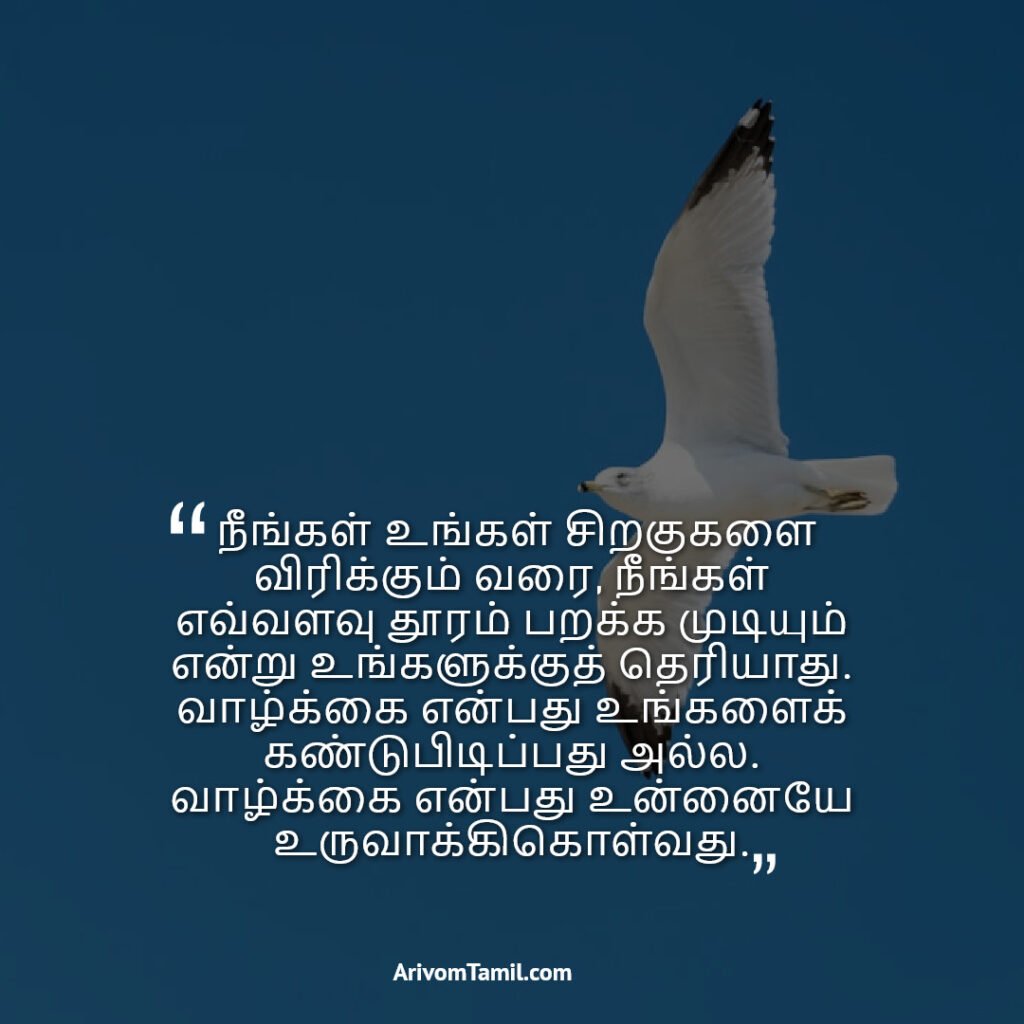 good morning images with quotes for whatsapp, good morning status, good morning images with quotes, morning wishes, good morning wishes, morning quotes, good morning thoughts, good day quotes, good morning inspirational quotes, beautiful good morning quotes, good morning quotes tamil, good morning wishes tamil, good morning quotes in tamil words, good morning images in tamil for whatsapp, good morning tamil kavithai, good morning message tamil