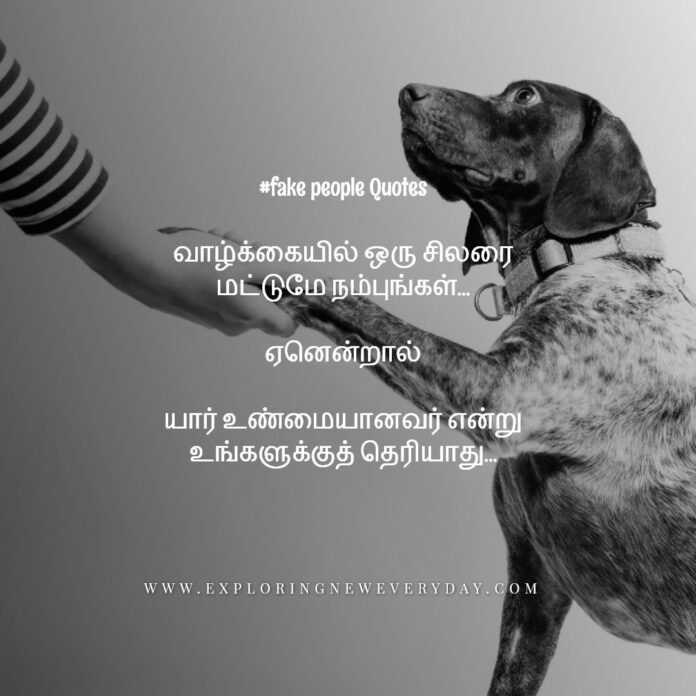 fake people quotes, fake friends quotes, fake family quotes, quotes about bad friends, quotes about people being fake, fake relationship quotes, fake smile quotes, fake love quotes.