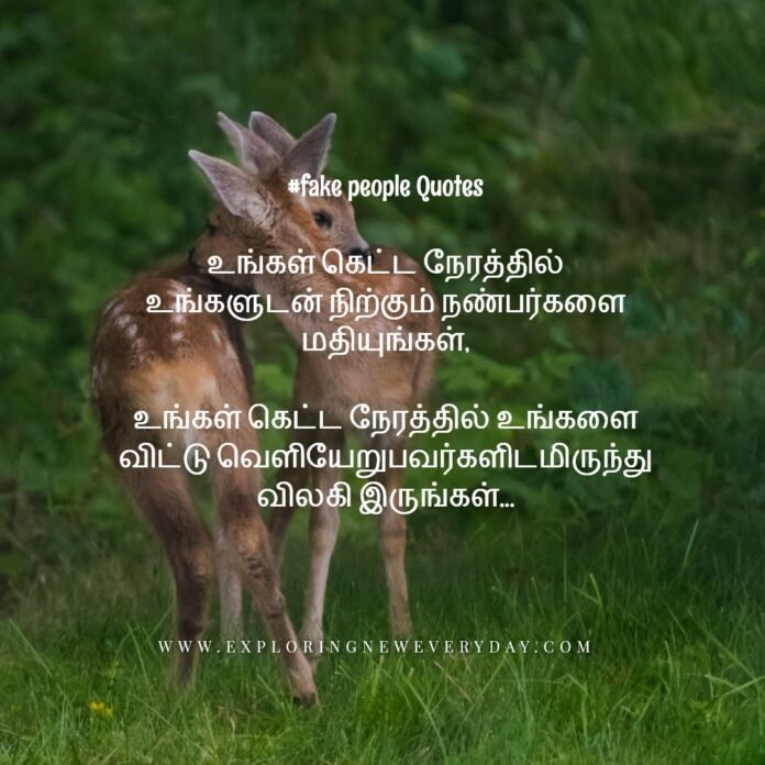 fake people quotes, fake friends quotes, fake family quotes, quotes about bad friends, quotes about people being fake, fake relationship quotes, fake smile quotes, fake love quotes.