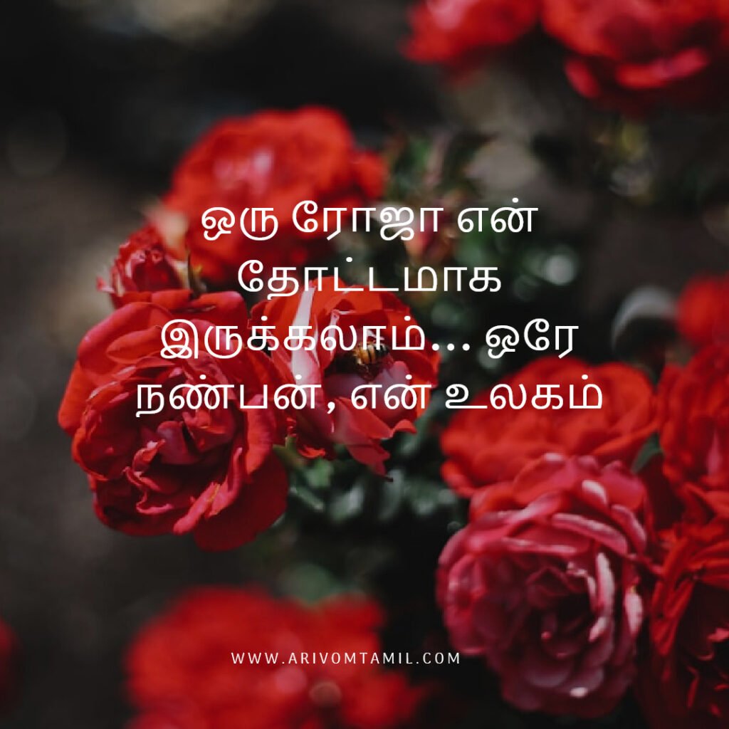 Best friendship quotes in tamil, tamil quotes, friendship quotes tamil, natpu kavithaigal, friendship quotes in tamil, friends with quotes images tamil, tamil best friend quotes, friendship day quotes in tamil, frnd status in tamil, caption about friendship in tamil, fake friends quotes in tamil, true friendship quotes in tamil.