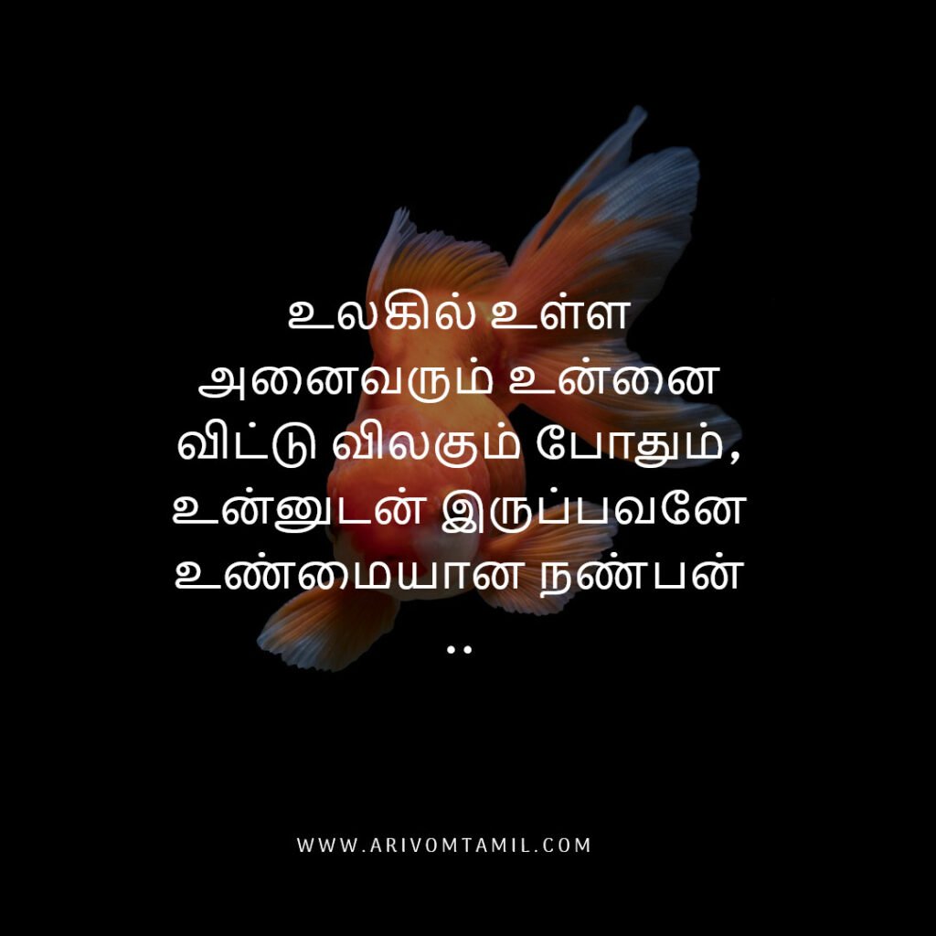 Best friendship quotes in tamil, tamil quotes, friendship quotes tamil, natpu kavithaigal, friendship quotes in tamil, friends with quotes images tamil, tamil best friend quotes, friendship day quotes in tamil, frnd status in tamil, caption about friendship in tamil, fake friends quotes in tamil, true friendship quotes in tamil.