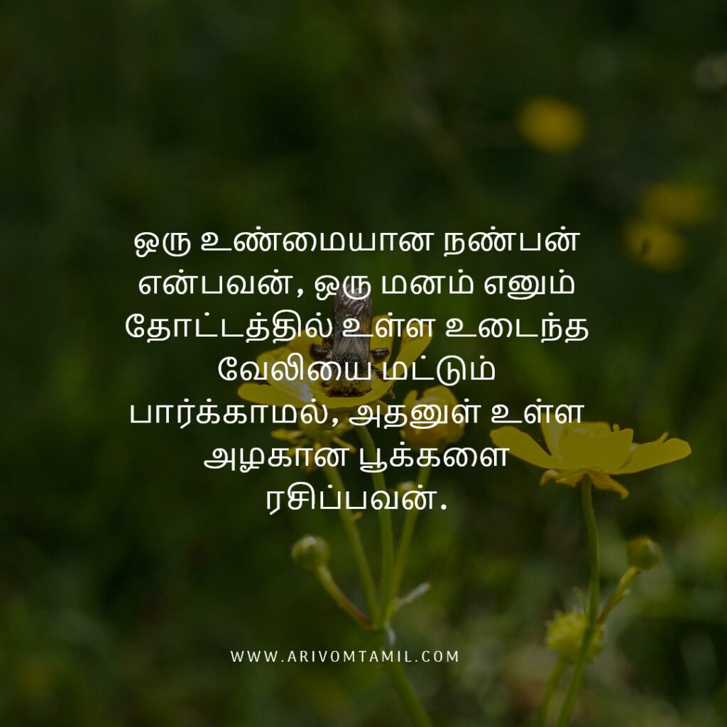 Best friendship quotes in tamil, tamil quotes, friendship quotes tamil, natpu kavithaigal, friendship quotes in tamil, friends with quotes images tamil, tamil best friend quotes, friendship day quotes in tamil, frnd status in tamil, caption about friendship in tamil, fake friends quotes in tamil, true friendship quotes in tamil.