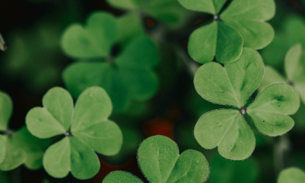 Hope quotes in tamil