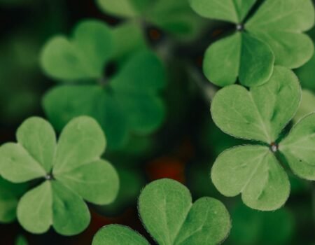 Hope quotes in tamil