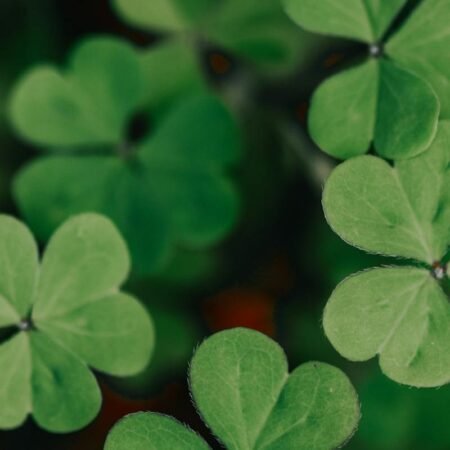 Hope quotes in tamil