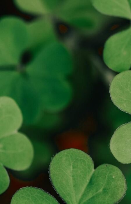 Hope quotes in tamil