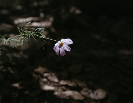 hope quotes in tamil, tamil hope quotes, best hope quotes tamil, inspirational hope quotes tamil, positive hope quotes tamil, motivational hope quotes tamil, life hope quotes in tamil, short hope quotes tamil, middle class youngster quotes tamil, middle class youth quotes tamil, youngster motivation quotes tamil, youth struggle quotes tamil, middle class youth life quotes tamil, young life quotes tamil, tamil youth motivational quotes, middle class mother quotes tamil, amma quotes tamil, mother sacrifice quotes tamil, emotional mother quotes tamil, mother love quotes tamil, amma emotional quotes tamil, tamil mother quotes, middle class father quotes tamil, father sacrifice quotes tamil, emotional father quotes tamil, appa quotes tamil, father love quotes tamil, father struggle quotes tamil, middle class appa quotes tamil, middle class parents quotes tamil, parents sacrifice quotes tamil, emotional parents quotes tamil, middle class family love quotes tamil, parents love quotes tamil, amma appa quotes tamil, parents emotional quotes tamil,