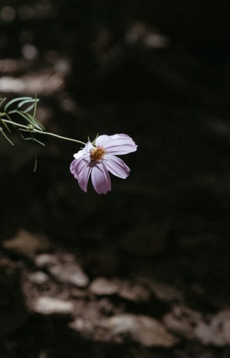 hope quotes in tamil, tamil hope quotes, best hope quotes tamil, inspirational hope quotes tamil, positive hope quotes tamil, motivational hope quotes tamil, life hope quotes in tamil, short hope quotes tamil, middle class youngster quotes tamil, middle class youth quotes tamil, youngster motivation quotes tamil, youth struggle quotes tamil, middle class youth life quotes tamil, young life quotes tamil, tamil youth motivational quotes, middle class mother quotes tamil, amma quotes tamil, mother sacrifice quotes tamil, emotional mother quotes tamil, mother love quotes tamil, amma emotional quotes tamil, tamil mother quotes, middle class father quotes tamil, father sacrifice quotes tamil, emotional father quotes tamil, appa quotes tamil, father love quotes tamil, father struggle quotes tamil, middle class appa quotes tamil, middle class parents quotes tamil, parents sacrifice quotes tamil, emotional parents quotes tamil, middle class family love quotes tamil, parents love quotes tamil, amma appa quotes tamil, parents emotional quotes tamil,