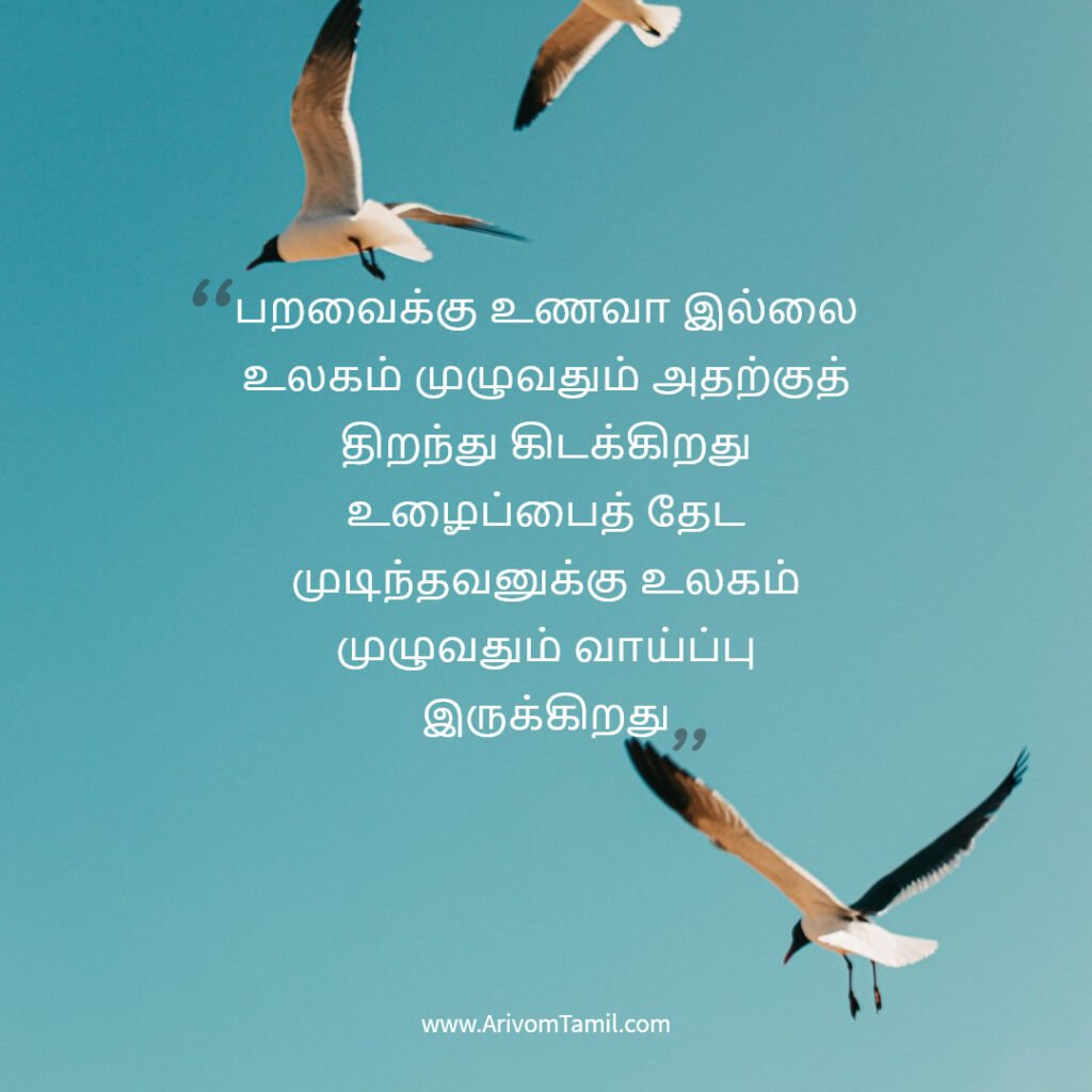 hope quotes in tamil, life hope quotes in tamil,motivational quotes in tamil, tamil kavithaigal, life quotes in tamil,good morning quotes in tamil, life fact quotes in tamil, confidence quotes in tamil, hope quotes in tamil,life positive quotes in tamil, life inspitational quotes in tamil, life fact quotes in tamil, confidence quotes in tamil, hope quotes in tamil
