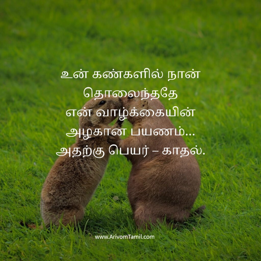 relationship quotes tamil, love positive quotes tamil, tamil love quotes positive romantic quotes tamil, couple quotes tamil, emotional relationship quotes tamil, trust quotes tamil, relationship poetic love quotes tamil, deep love quotes tamil, relationship motivation quotes tamil,