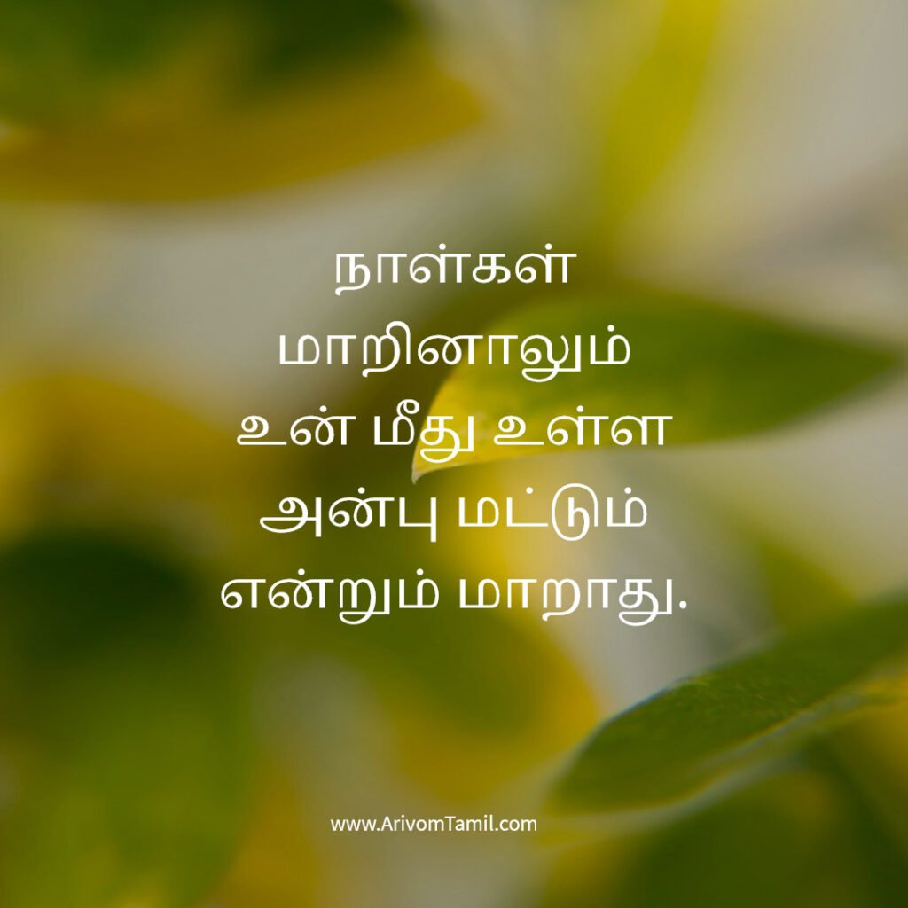 relationship quotes tamil, love positive quotes tamil, tamil love quotes positive romantic quotes tamil, couple quotes tamil, emotional relationship quotes tamil, trust quotes tamil, relationship poetic love quotes tamil, deep love quotes tamil, relationship motivation quotes tamil,